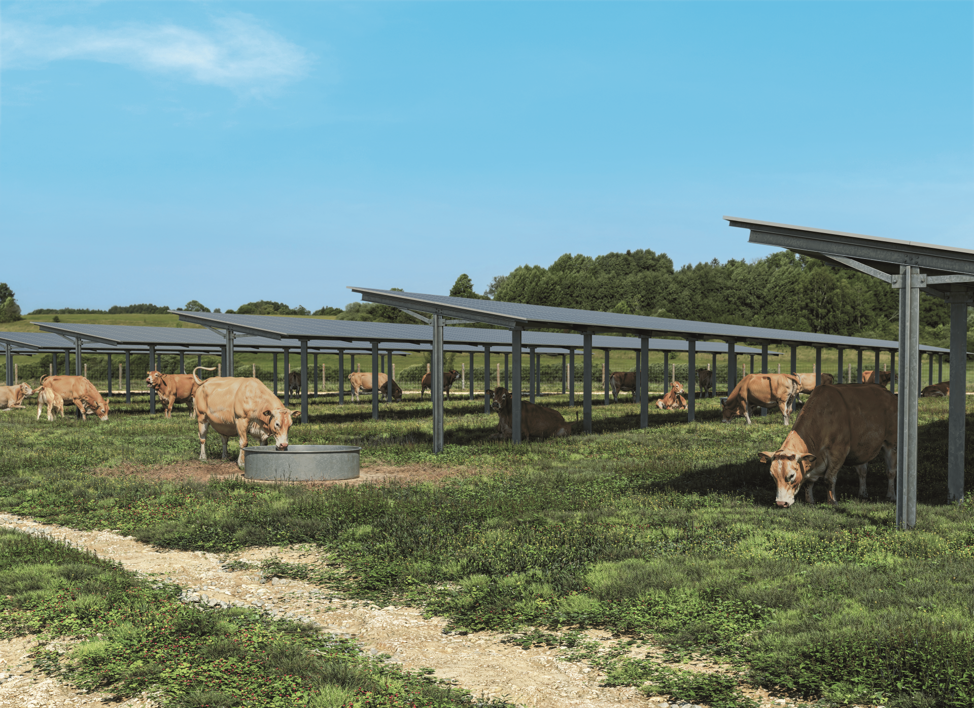 Ombrières photovoltaïques agricoles : atouts et spécificités pour votre exploitation